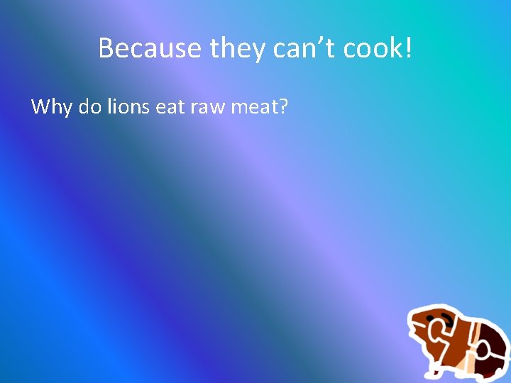 Because they can’t cook! Why do lions eat raw meat? 