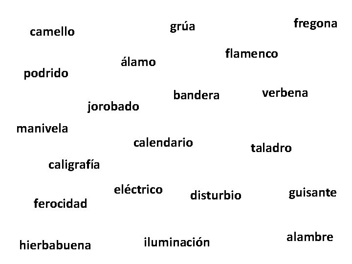 fregona grúa camello flamenco álamo podrido bandera jorobado manivela calendario caligrafía ferocidad hierbabuena eléctrico