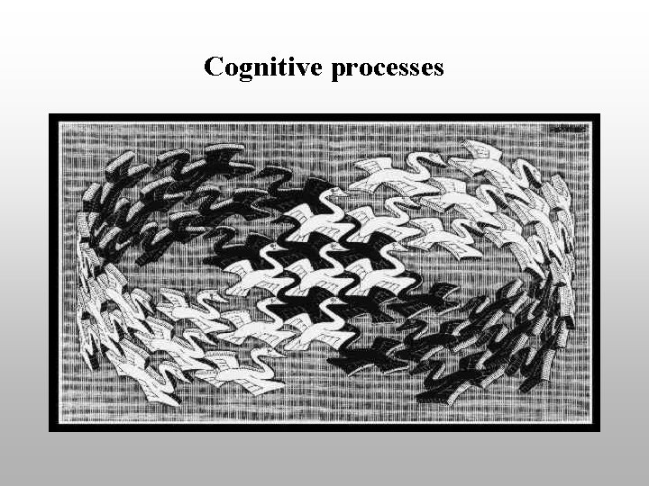 Cognitive processes 