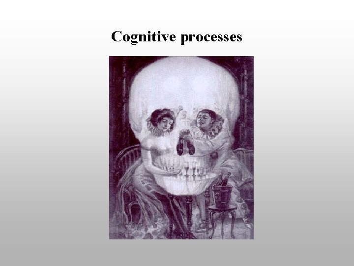 Cognitive processes 