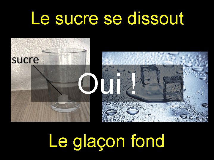 Le sucre se dissout Oui ! Le glaçon fond Le sucre se dissout Oui ! Le glaçon fond