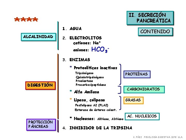 **** ALCALINIDAD II. SECRECIÓN PANCREÁTICA 1. AGUA CONTENIDO 2. ELECTROLITOS cationes: Na+ aniones: HCO