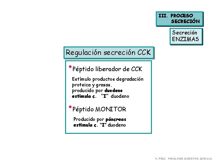 III. PROCESO SECRECIÓN Secreción ENZIMAS Regulación secreción CCK • Péptido liberador de CCK Estímulo