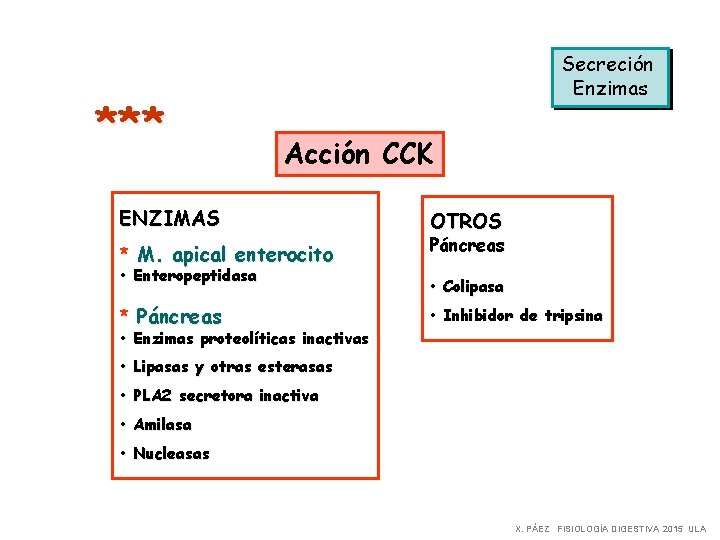 ** * Secreción Enzimas Acción CCK ENZIMAS * M. apical enterocito • Enteropeptidasa *