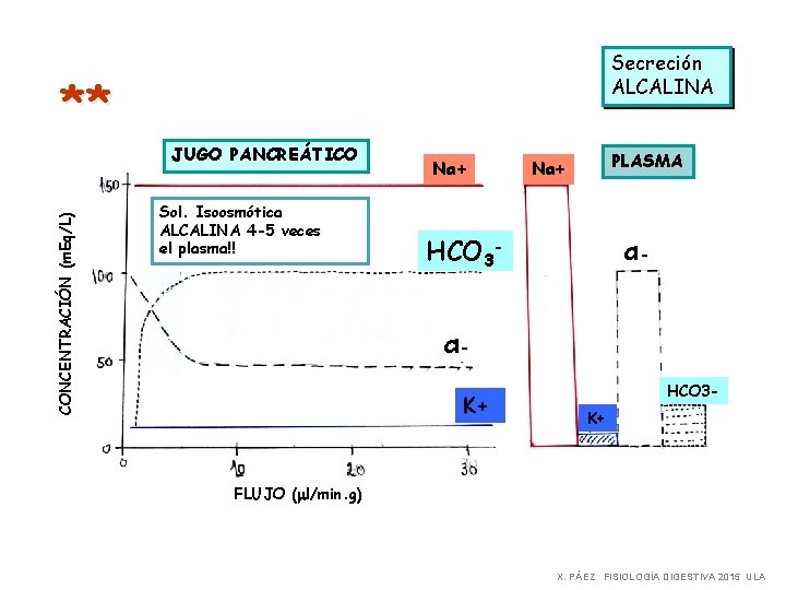 Secreción ALCALINA ** CONCENTRACIÓN (m. Eq/L) JUGO PANCREÁTICO Sol. Isoosmótica ALCALINA 4 -5 veces