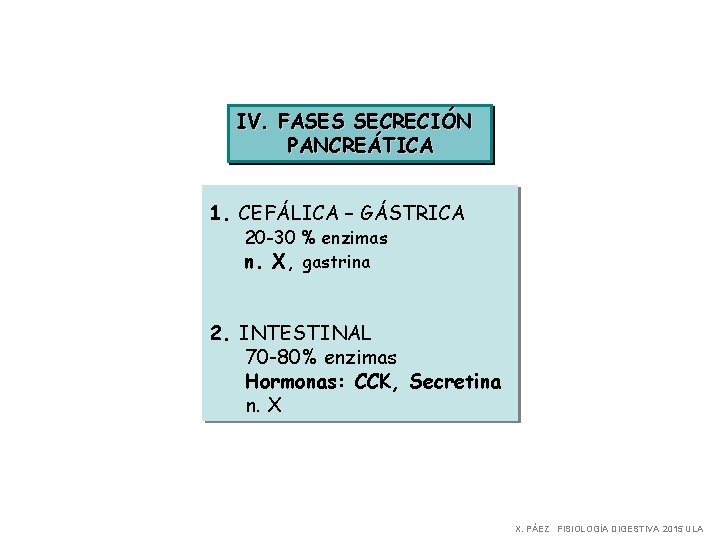 IV. FASES SECRECIÓN PANCREÁTICA 1. CEFÁLICA – GÁSTRICA 20 -30 % enzimas n. X,