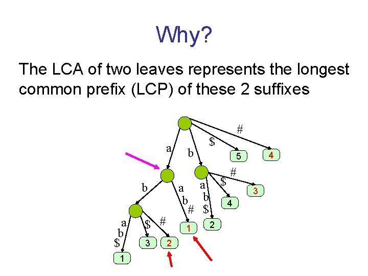 Why? The LCA of two leaves represents the longest common prefix (LCP) of these