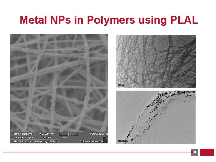 Metal NPs in Polymers using PLAL 