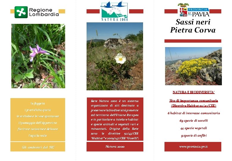 Sassi neri Pietra Corva NATURA E BIODIVERSITA’ la faggeta i prati d’alta quota le