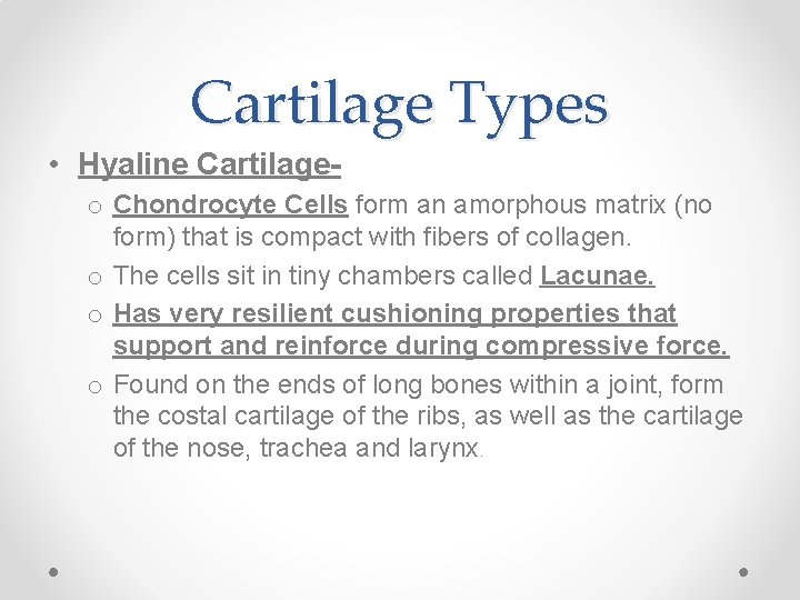 Cartilage Types • Hyaline Cartilageo Chondrocyte Cells form an amorphous matrix (no form) that