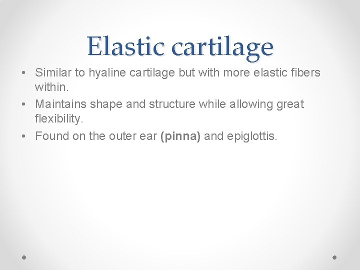 Elastic cartilage • Similar to hyaline cartilage but with more elastic fibers within. •