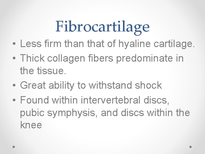 Fibrocartilage • Less firm than that of hyaline cartilage. • Thick collagen fibers predominate