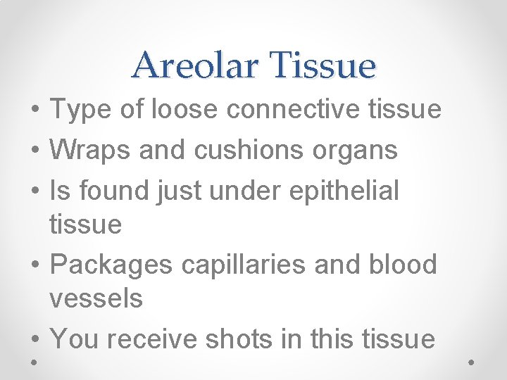 Areolar Tissue • Type of loose connective tissue • Wraps and cushions organs •