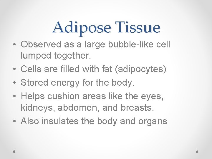 Adipose Tissue • Observed as a large bubble-like cell lumped together. • Cells are