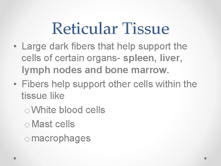 Reticular Tissue • Large dark fibers that help support the cells of certain organs-
