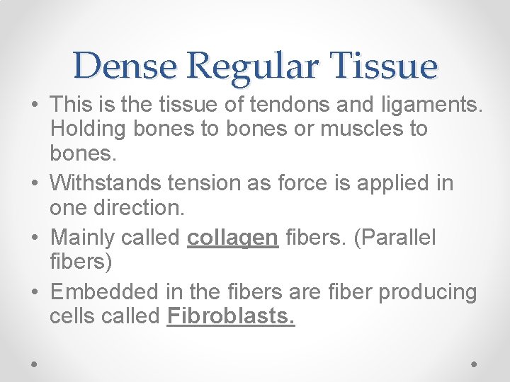 Dense Regular Tissue • This is the tissue of tendons and ligaments. Holding bones