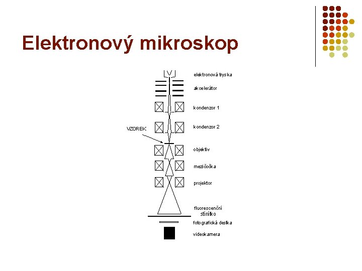 Elektronový mikroskop 