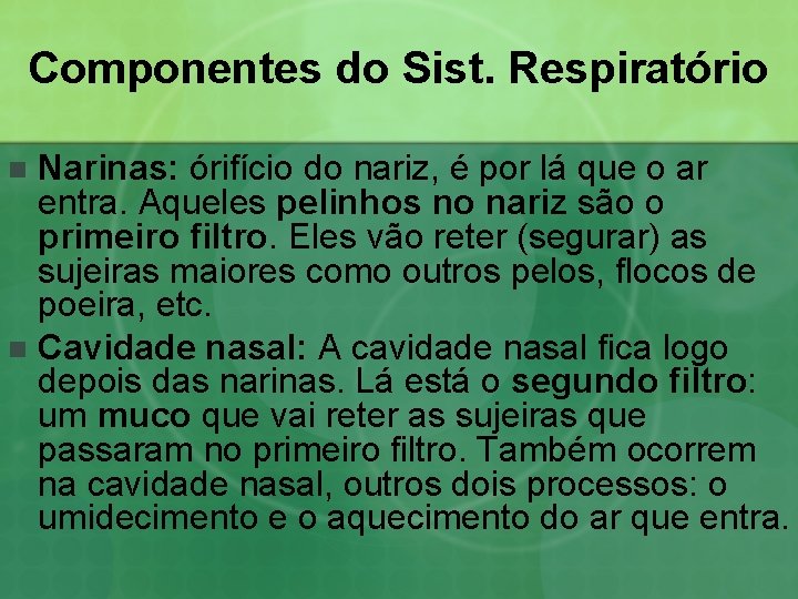 Componentes do Sist. Respiratório Narinas: órifício do nariz, é por lá que o ar