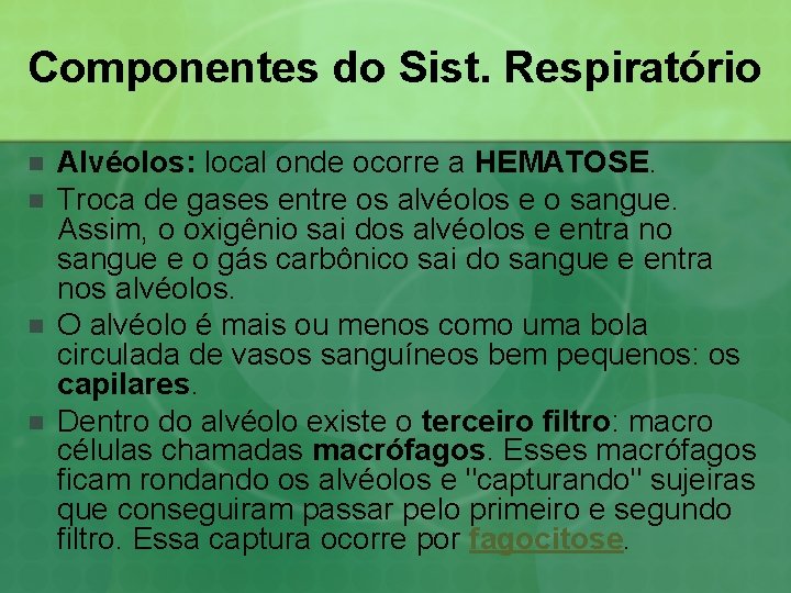 Componentes do Sist. Respiratório n n Alvéolos: local onde ocorre a HEMATOSE. Troca de