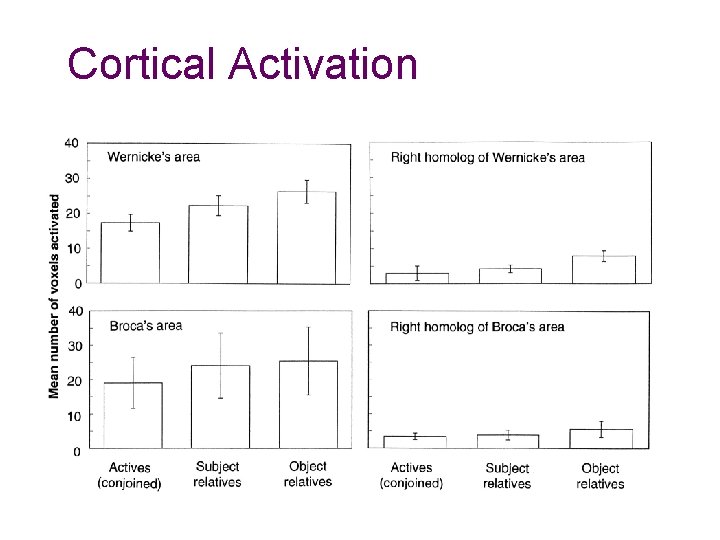 Cortical Activation Cortical Activation