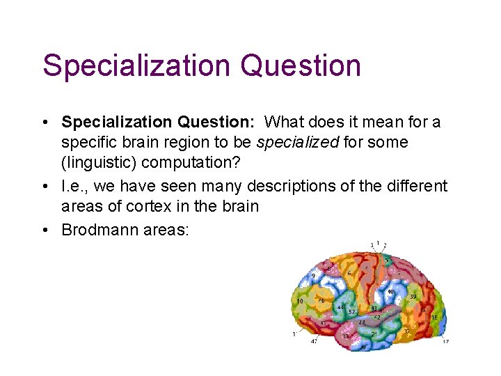 Specialization Question • Specialization Question: What does it mean for a specific brain region Specialization Question • Specialization Question: What does it mean for a specific brain region