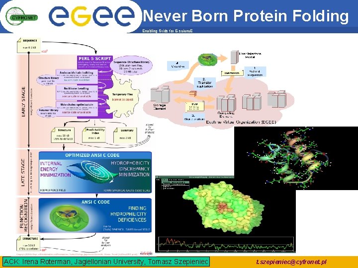 Never Born Protein Folding Enabling Grids for E-scienc. E ACK: Irena Roterman, Jagiellonian University, Never Born Protein Folding Enabling Grids for E-scienc. E ACK: Irena Roterman, Jagiellonian University,
