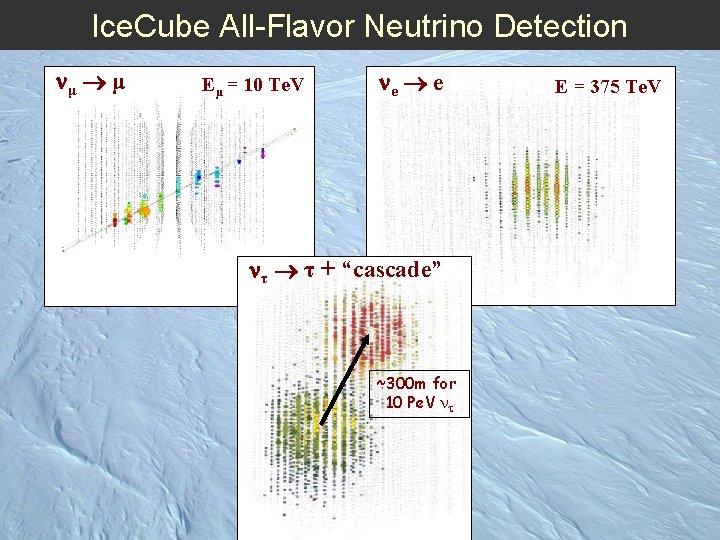 Ice. Cube All-Flavor Neutrino Detection μ μ Eµ = 10 Te. V e e