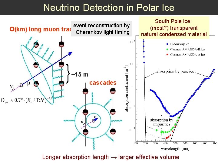 Neutrino Detection in Polar Ice event reconstruction by O(km) long muon tracks Cherenkov light