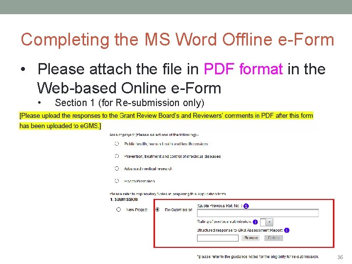 Completing the MS Word Offline e-Form • Please attach the file in PDF format