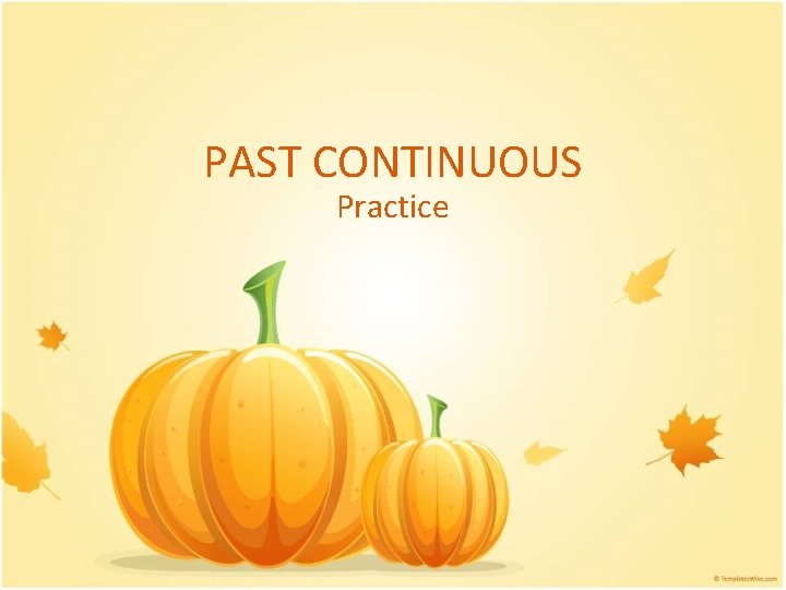 PAST CONTINUOUS Practice 