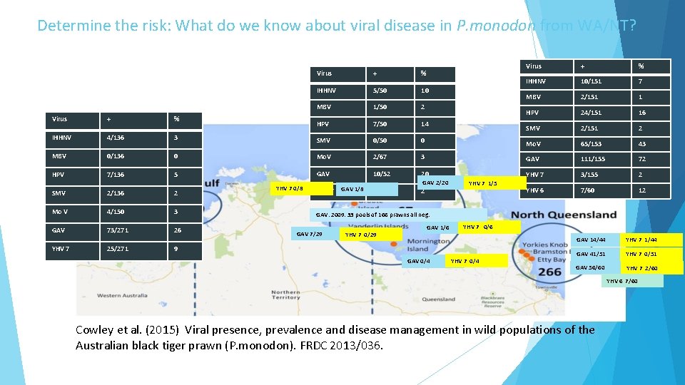 Determine the risk: What do we know about viral disease in P. monodon from