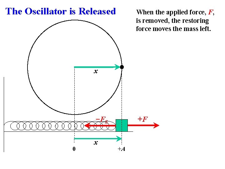 The Oscillator is Released When the applied force, F, is removed, the restoring force