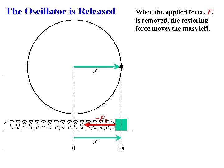The Oscillator is Released When the applied force, F, is removed, the restoring force