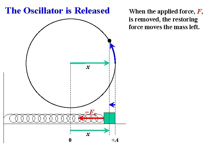 The Oscillator is Released When the applied force, F, is removed, the restoring force