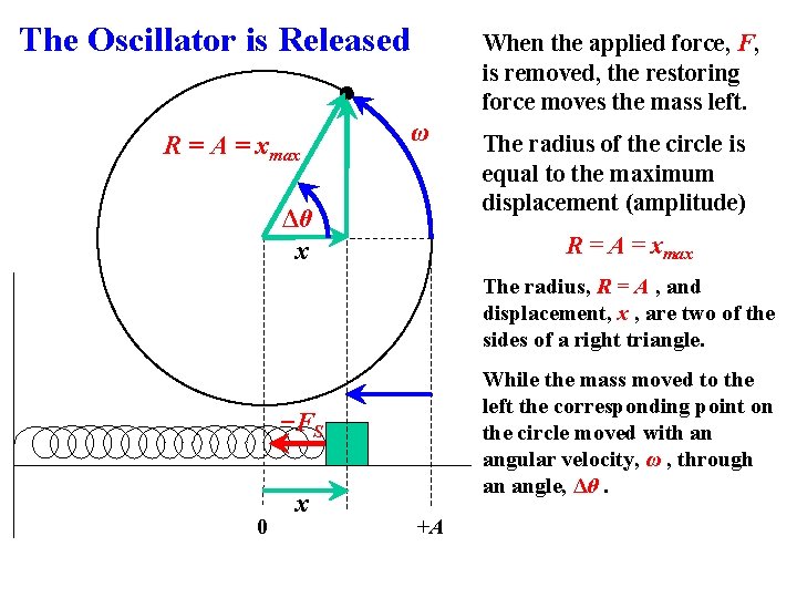 The Oscillator is Released R = A = xmax When the applied force, F,