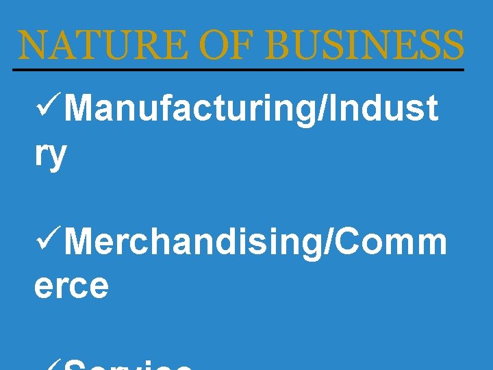 NATURE OF BUSINESS üManufacturing/Indust ry üMerchandising/Comm erce 