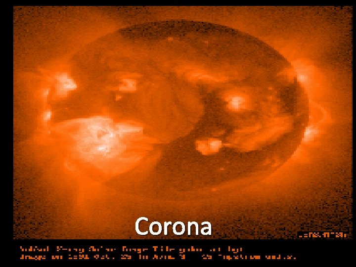 Corona 