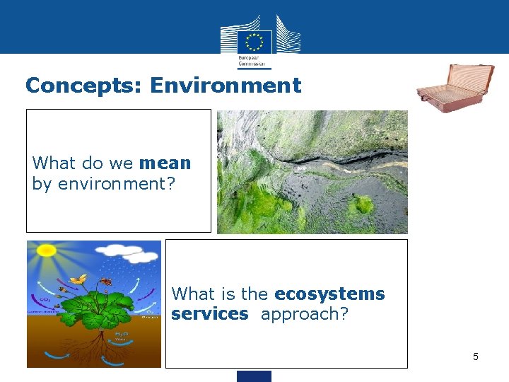 Concepts: Environment What do we mean by environment? What is the ecosystems services approach?