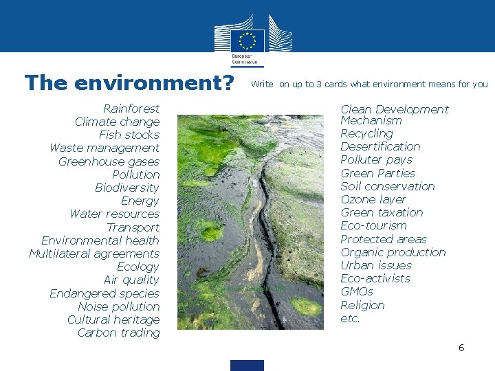 The environment? • Rainforest • Climate change • Fish stocks • Waste management •