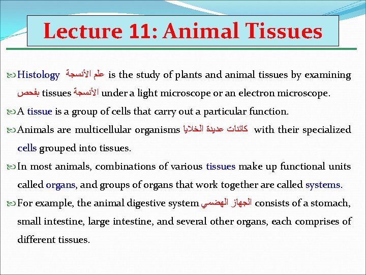 Lecture 11: Animal Tissues Histology ﻋﻠﻢ ﺍﻷﻨﺴﺠﺔ is the study of plants and animal