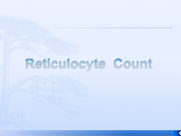 Reticulocyte Count 