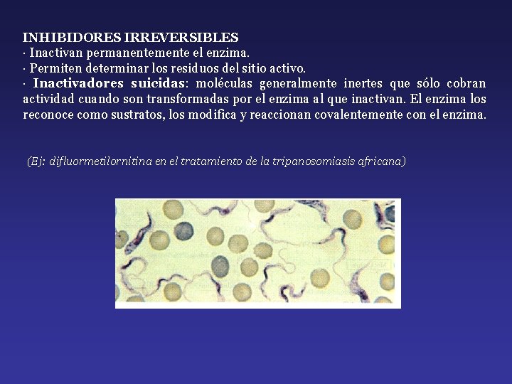 INHIBIDORES IRREVERSIBLES · Inactivan permanentemente el enzima. · Permiten determinar los residuos del sitio