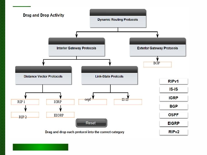 BGP RIP 1 RIP 2 IGRP EIGRP ospf IS IS 