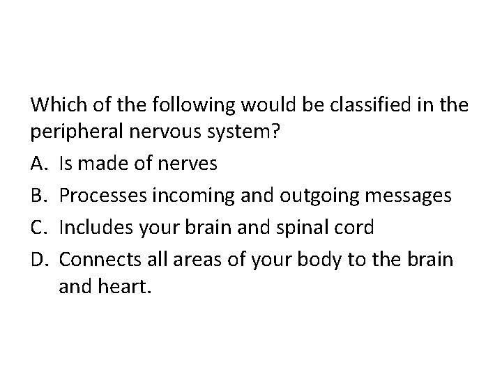 Which of the following would be classified in the peripheral nervous system? A. Is