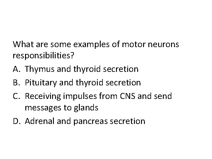 What are some examples of motor neurons responsibilities? A. Thymus and thyroid secretion B.