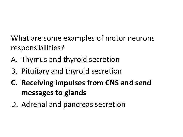 What are some examples of motor neurons responsibilities? A. Thymus and thyroid secretion B.