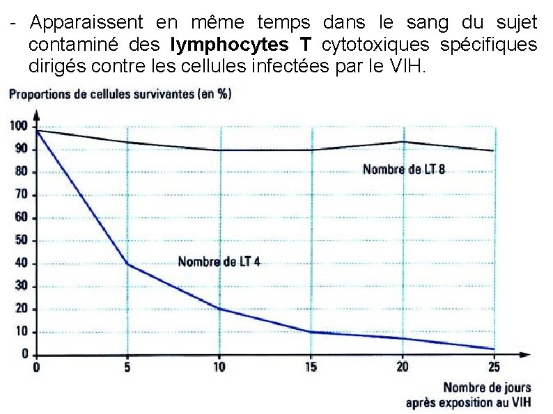 - Apparaissent en même temps dans le sang du sujet contaminé des lymphocytes T - Apparaissent en même temps dans le sang du sujet contaminé des lymphocytes T