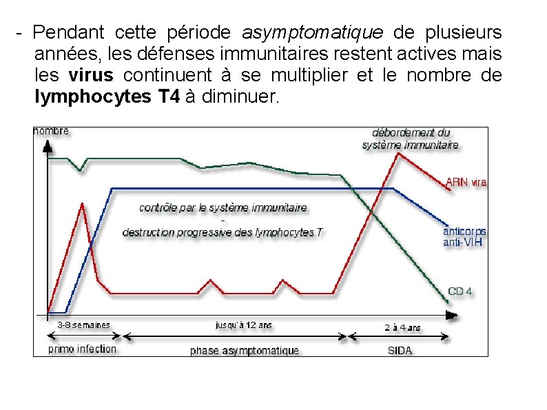 - Pendant cette période asymptomatique de plusieurs années, les défenses immunitaires restent actives mais