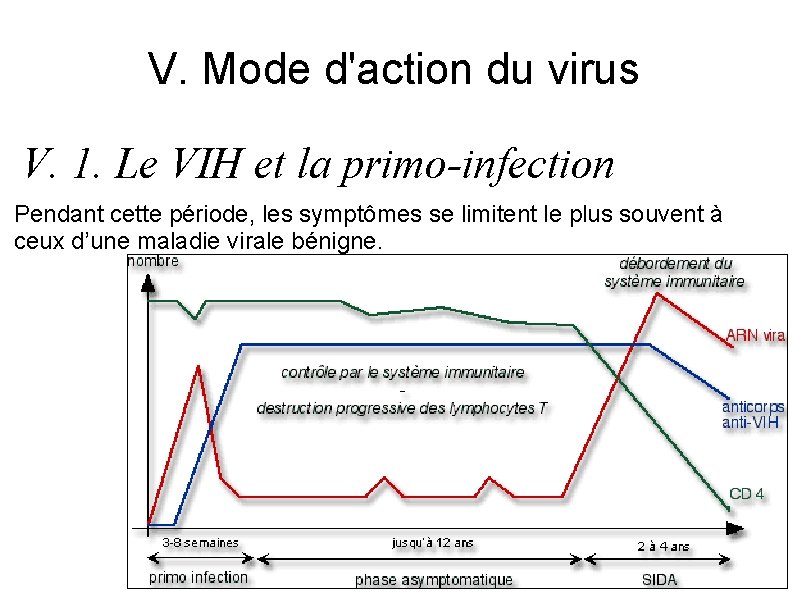 V. Mode d'action du virus V. 1. Le VIH et la primo-infection Pendant cette