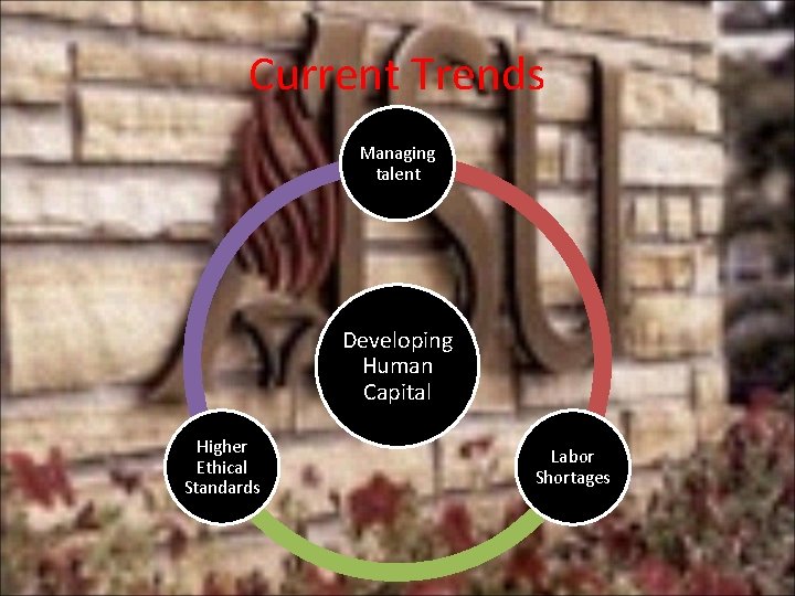 Current Trends Managing talent Developing Human Capital Higher Ethical Standards Labor Shortages 